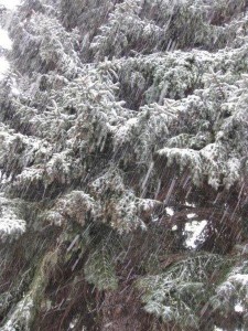 Snow Snow 225x300 Travel writing newspapers versus blogging