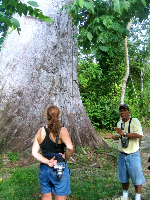 Amazon rainforest Peru and my shamanic journey