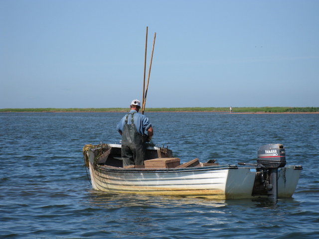 Fisherman in PEI