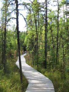 Saskatchewan - a mind boggling experience even John Cage could appreciate