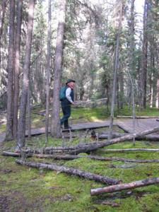 The bogs of northern Saskatchewan a mind boggling experience