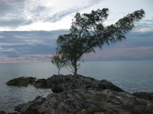 An outcrop on the water at Cambridge Beaches Resort Bermuda
