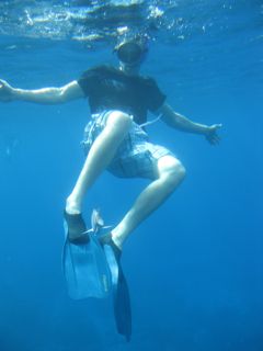 Snorkelling on the Caribbean island of Guadeloupe