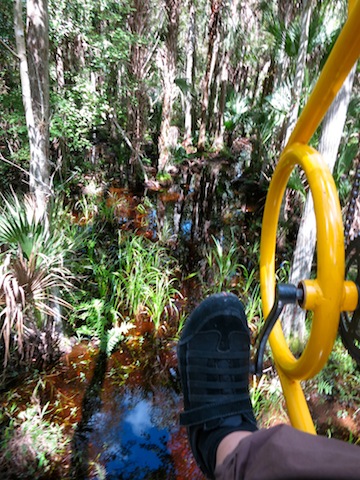 Florida EcoSafaris canopy cycle Orlando undiscovered