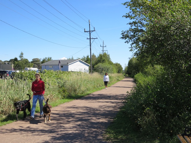 Cycling Confederation Trail in PEI, from Charlottetown, people walking