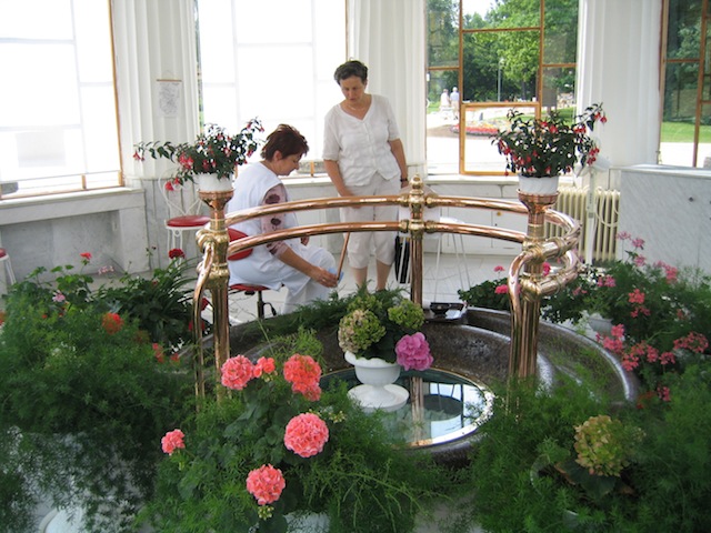Drinking hall with flowers in Frantiskovy Lazne