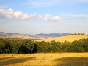 Cycling in Tuscany beautiful fields