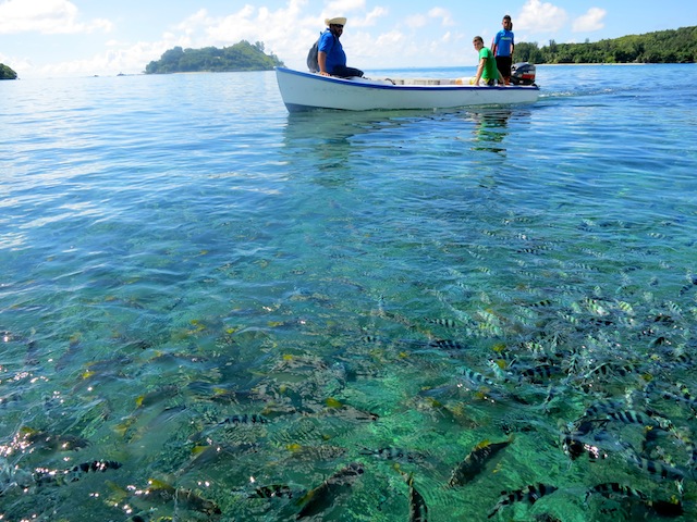 Fishermen in the ocean.