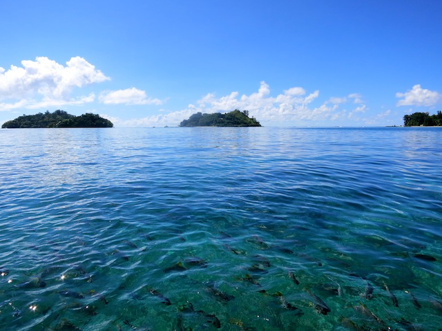 Seychelles islands from the water