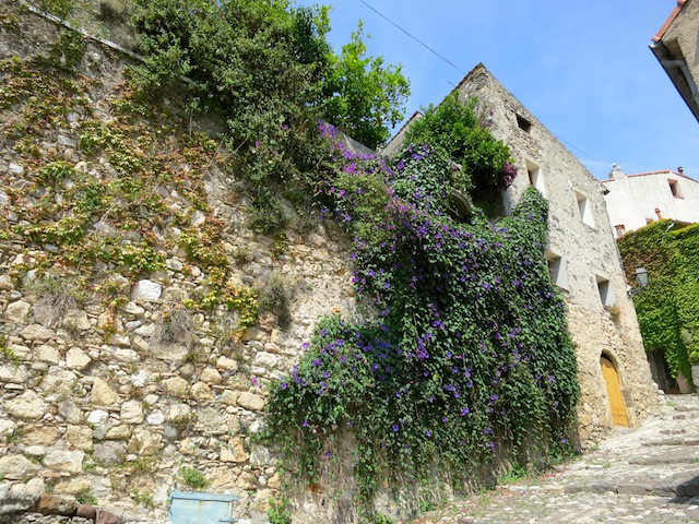 Flowers and stone walls in Biot France