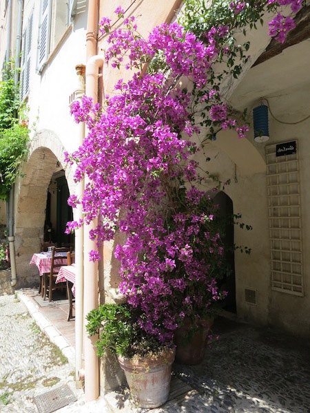 One day in Biot itinerary