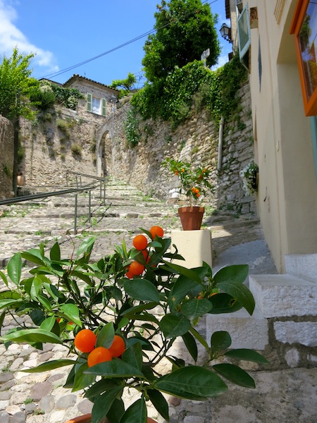 Winding lanes in Biot South of France