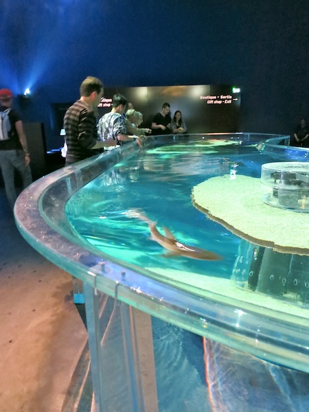 One day in Monaco visit the Museum of Oceanography