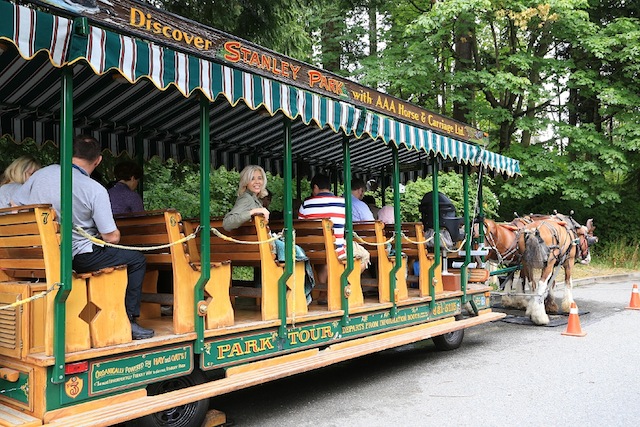 Wandering Carol in Vancouver's Stanley Park carriage ride