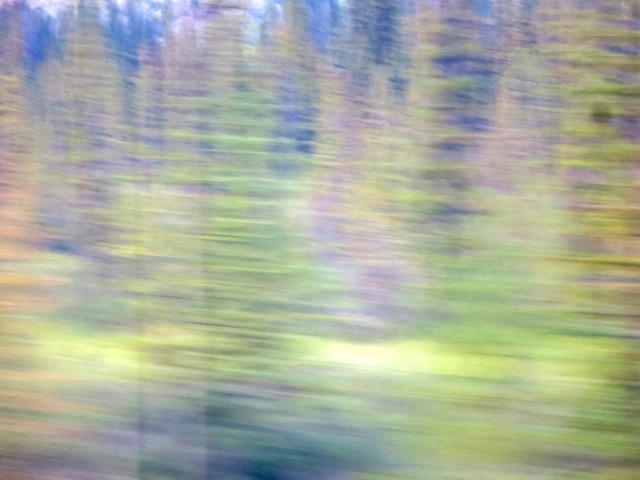 Amazing Rocky Mountaineer wildlife photos blurry shot