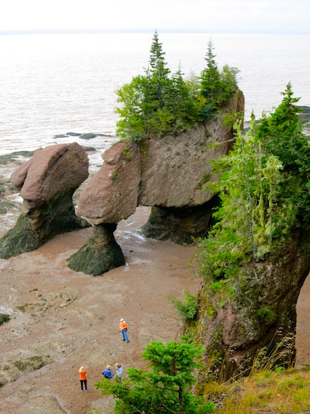 Things to do in Canada: visit The Hopewell Rocks