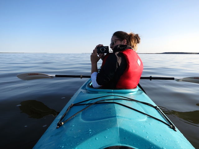 Things to do in Canada, kayak with belugas