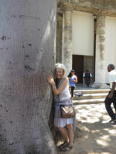 El Templete in Havana where there is a sacred tree