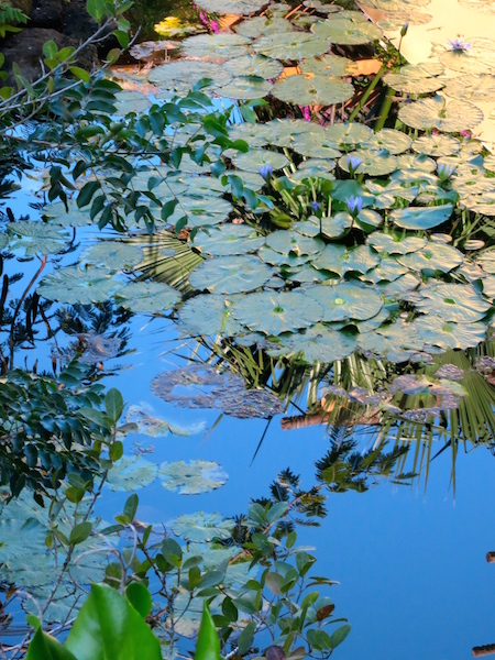 Grand Velas Riviera Maya jungle setting