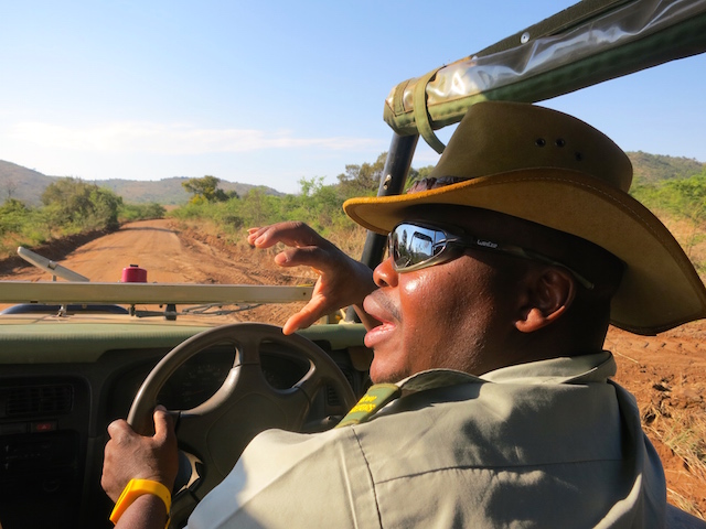 Big 5 Luxury animal safari Pilanesberg guide