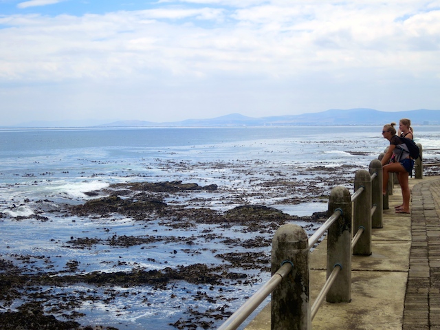 Things to do in Cape Town Sea Point Promenade