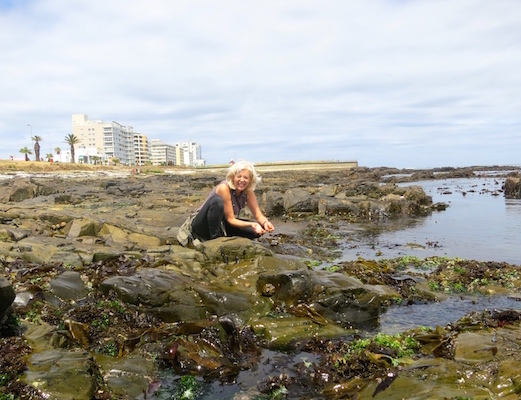 What to do in Cape Town food foraging Table Bay Hotel