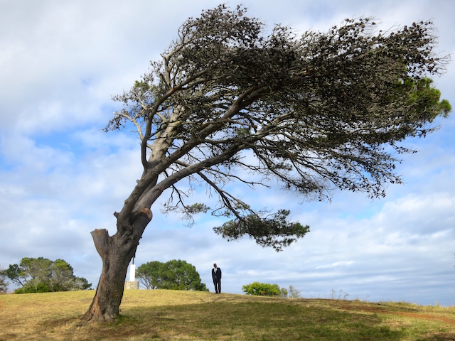 What to do in Cape Town, go up Signal Hill