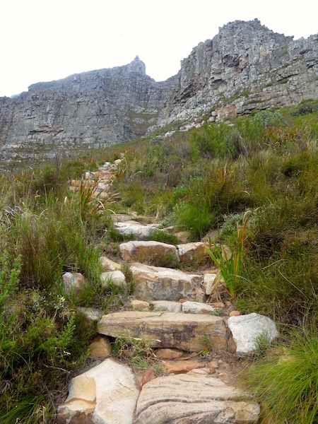 What to do in Cape Town, hike Table Mountain