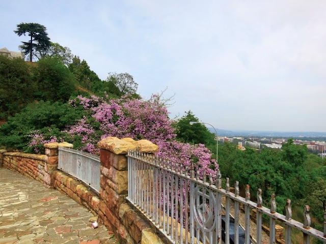 View from Houghton with purple flowers.