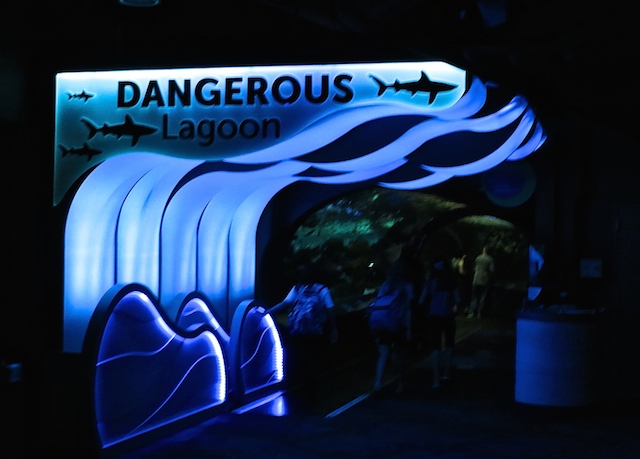 Ripley's Aquarium Toronto Hazardous Lagoon