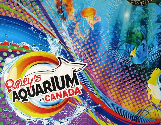 Romance at Ripley's Aquarium Toronto