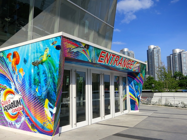 The Ultimate Guide to Ripley's Aquarium Toronto