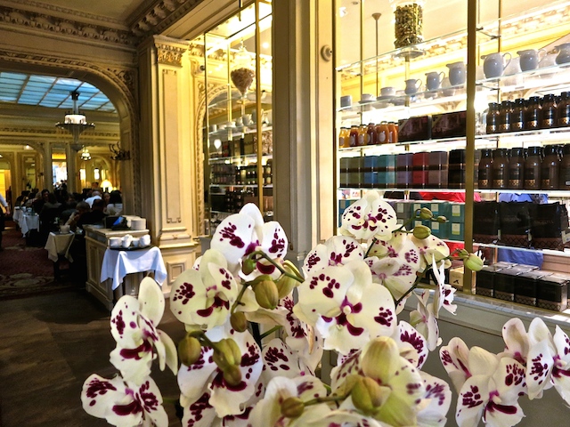 Angelina Teahouse in the footsteps of Coco Chanel in Paris, France