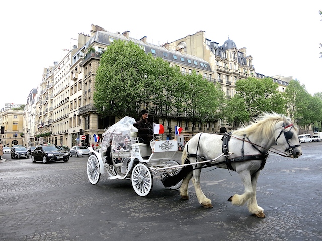 In the footsteps of Coco Chanel in Paris, horse and carriage