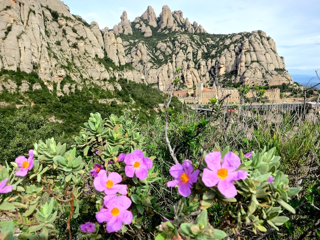 Montserrat Mountain, Spain