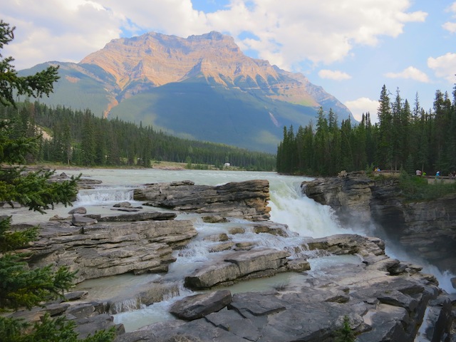 Icefields Parkway, Athabasca Falls Brewster Tour