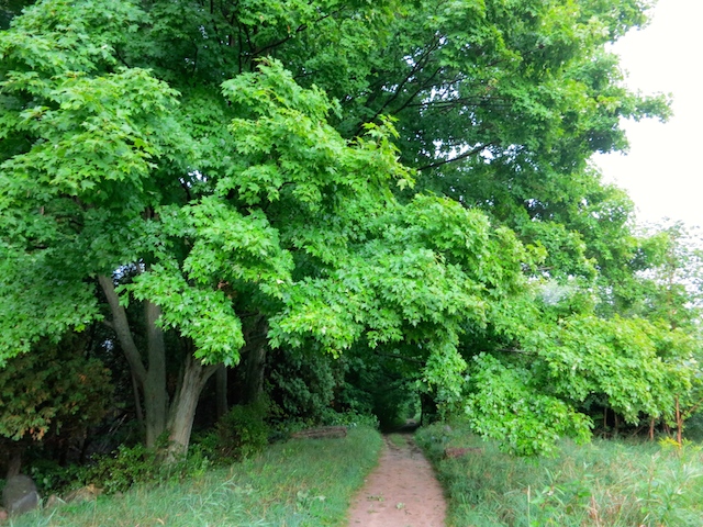 Hike the Bruce Trail, Dufferin High-Land Section, Ontario