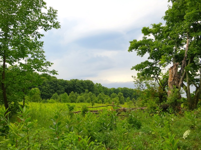 Hike the Bruce Trail from Mono Provincial Park north of Toronto