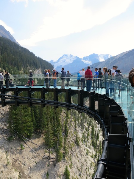 Icefields Parkway tour with Brewster, Glacier Skywalk glass