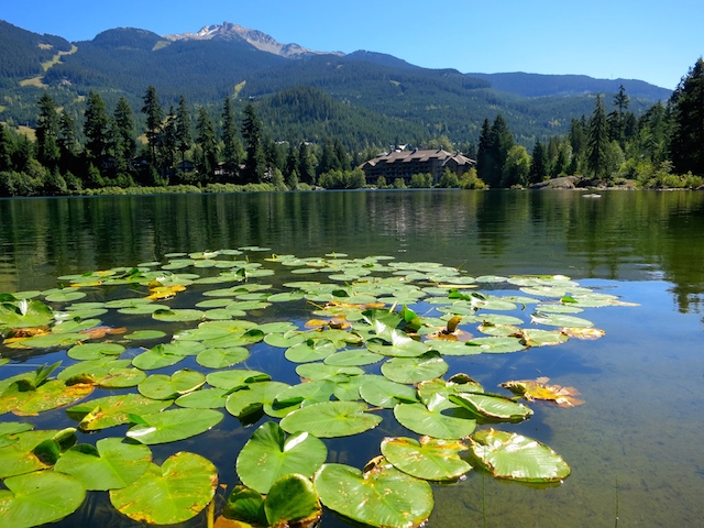 Nita Lake Lodge in Whistler Creekside review, lake view