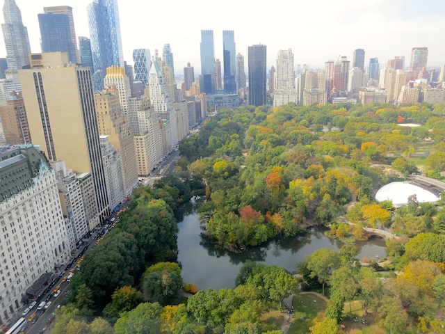 Hotel review The Pierre New York view of Central Park from Tata Suite