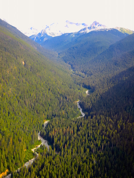 Peak to Peak Whistler Gondola