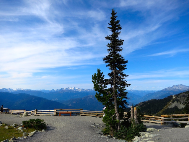 Peak to Peak Whistler ride to Blackcombe