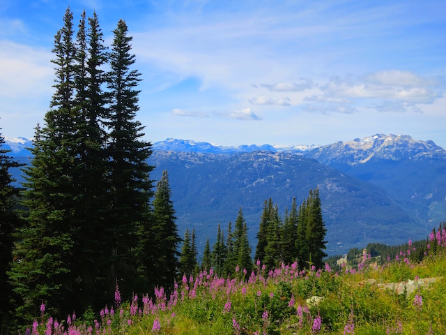 Peak to Peak Whistler Mountain view