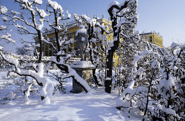 Tours Vienna, Schonbrunn Palace in snow