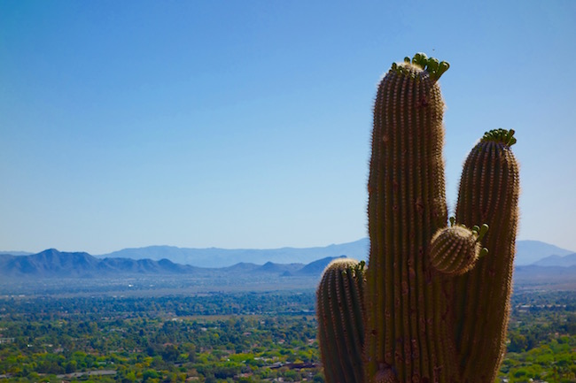 Camelback Mountain hike view of Paradise Valley