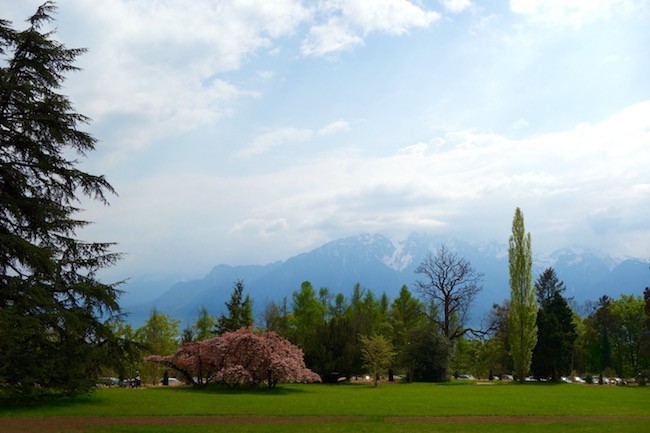 View from Chaplin Museum in Vevey