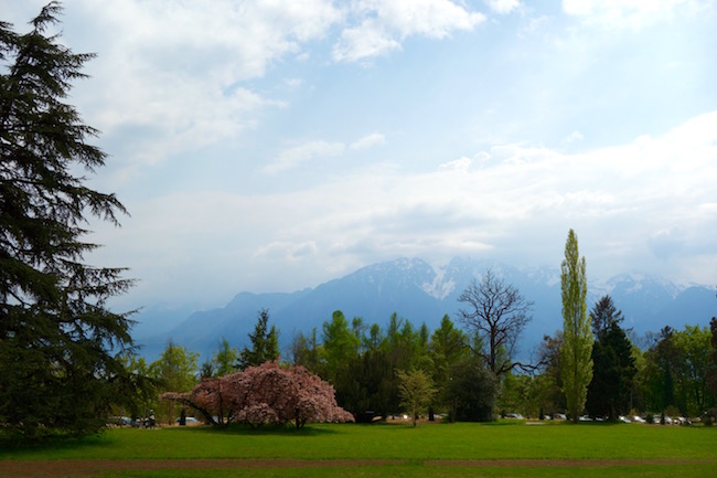 View from Chaplin Museum in Vevey