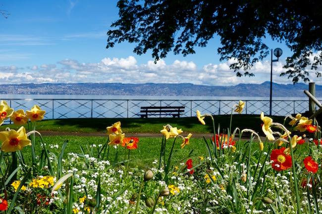 flowers on the quai in evian france