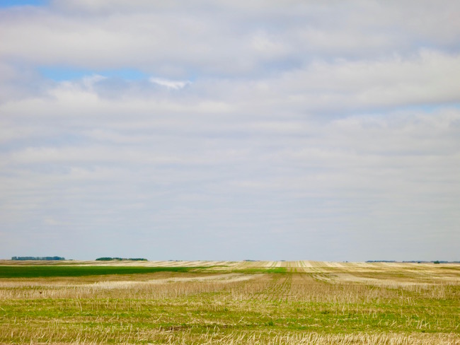 Saskatoon restaurants Saskatchewan terroir prairie field